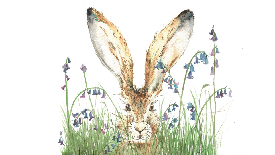 hare and bluebells painting by sarah reilly