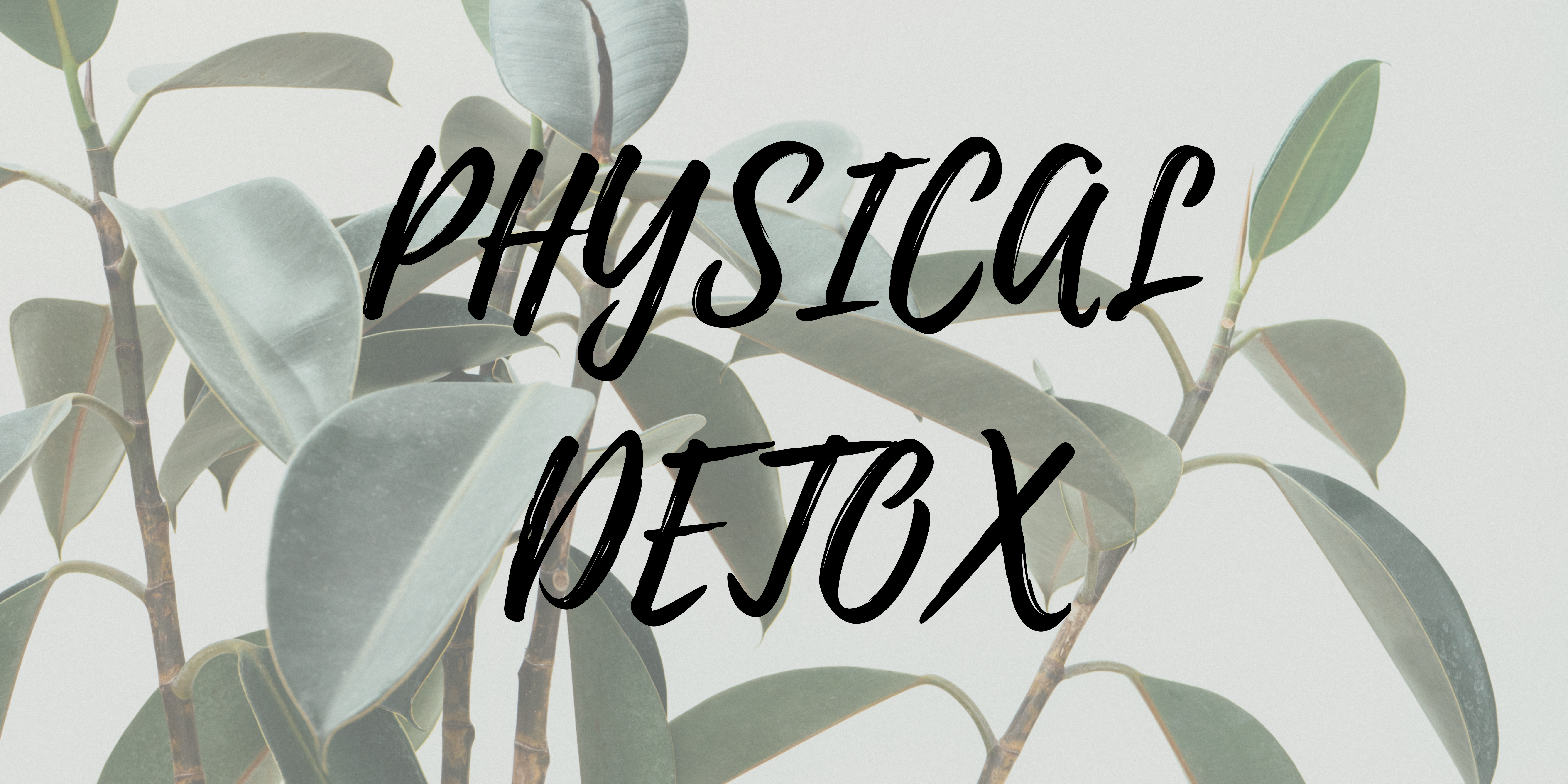 Physical Detox