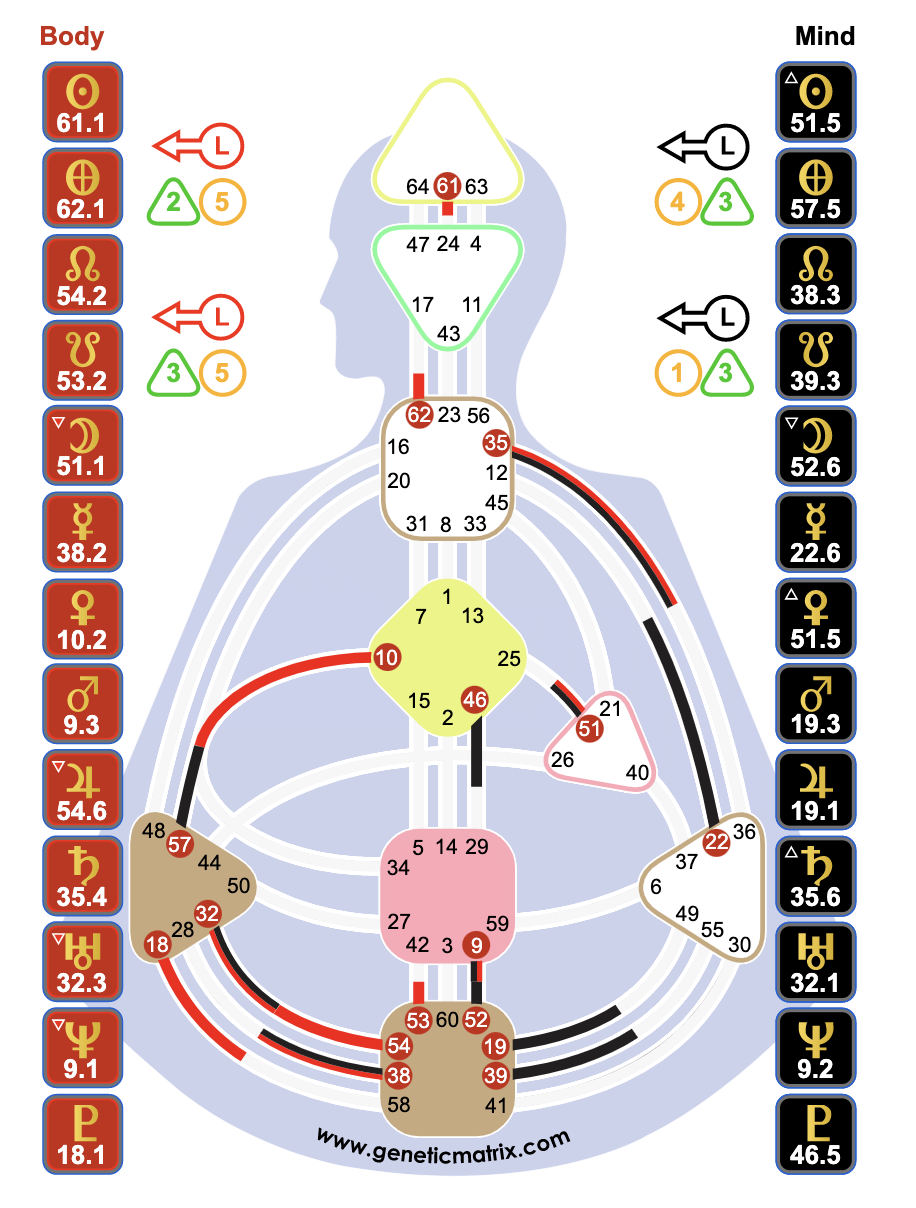 human design chart reading and consultation