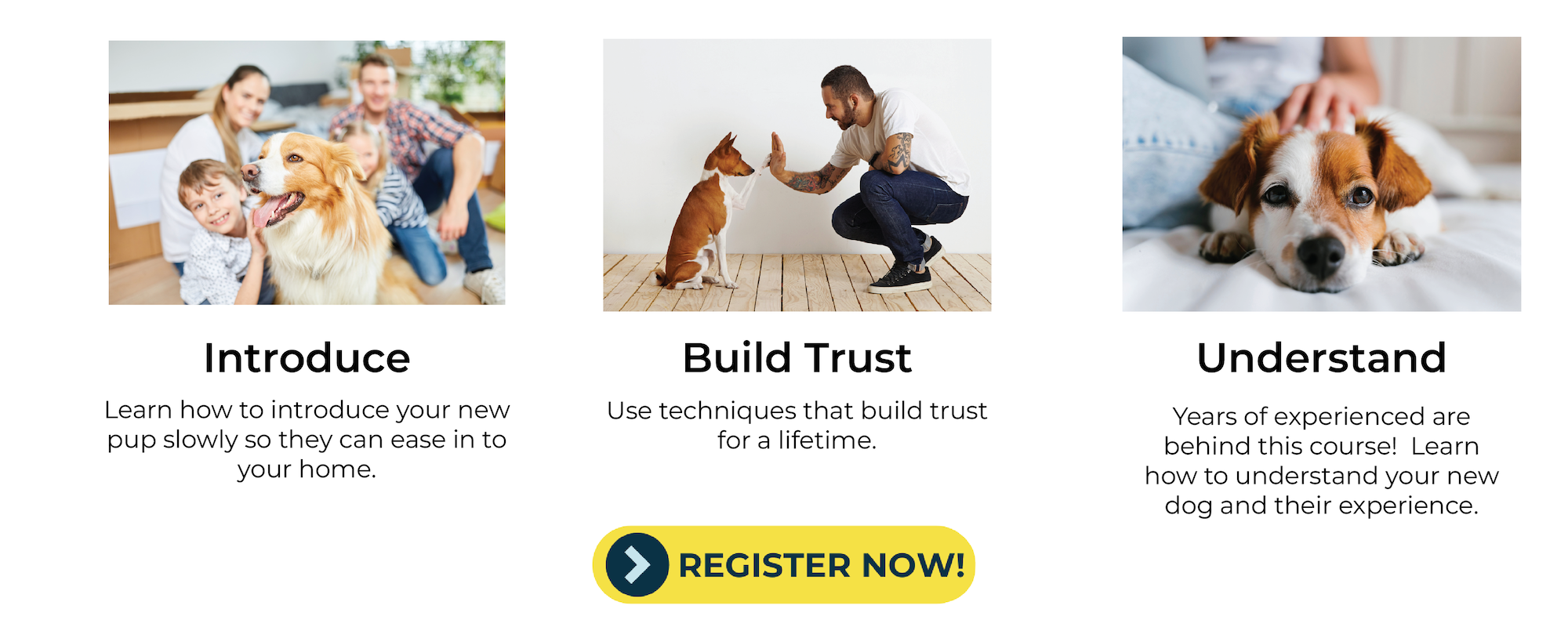 an image representing parts of a free online adopted dog training course from fearless pet covering how to introduce a new dog to children how to build trust with a dog and how to understand a dog