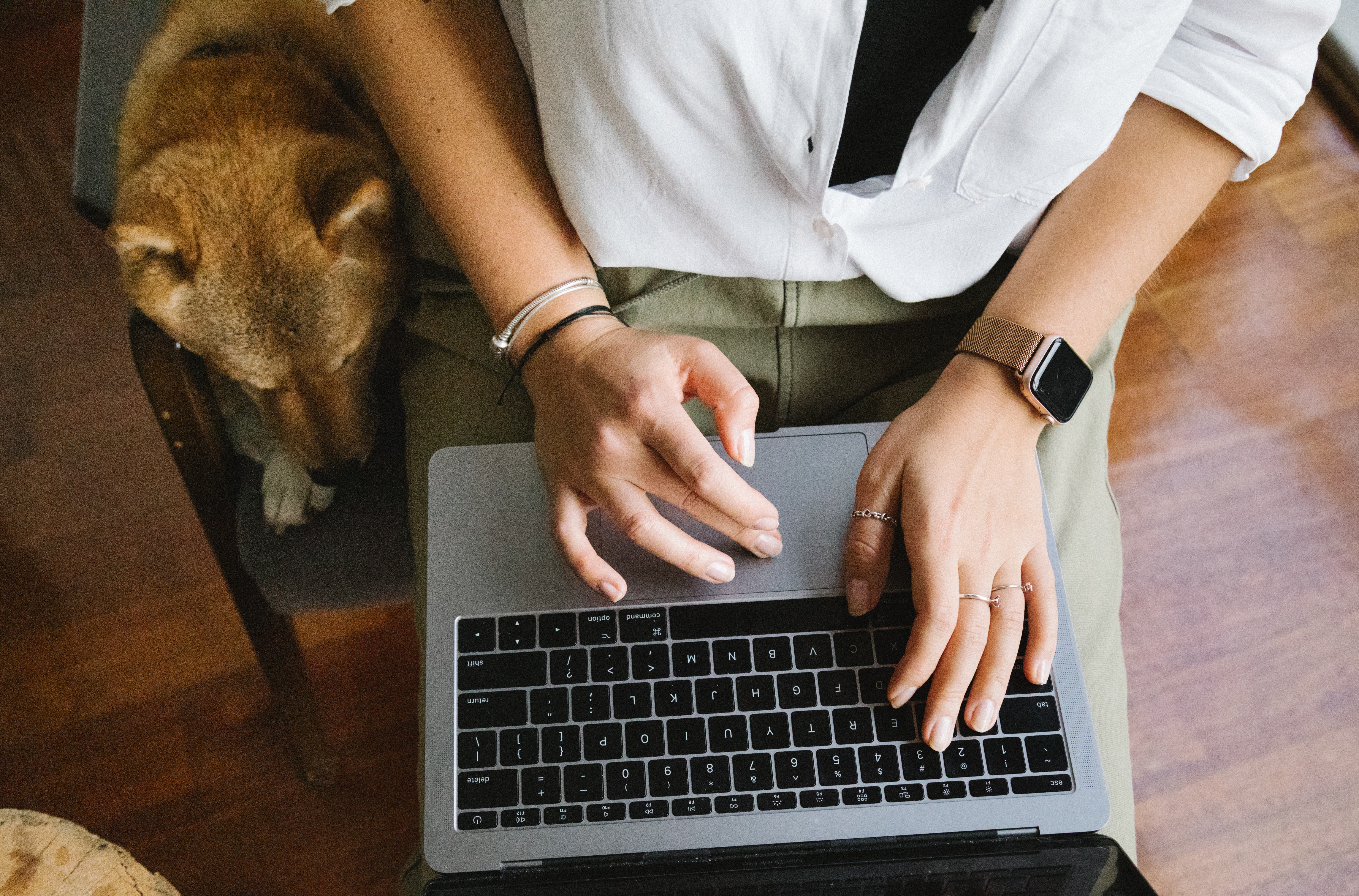 Woman typing on a laptop with a dog next to her. 