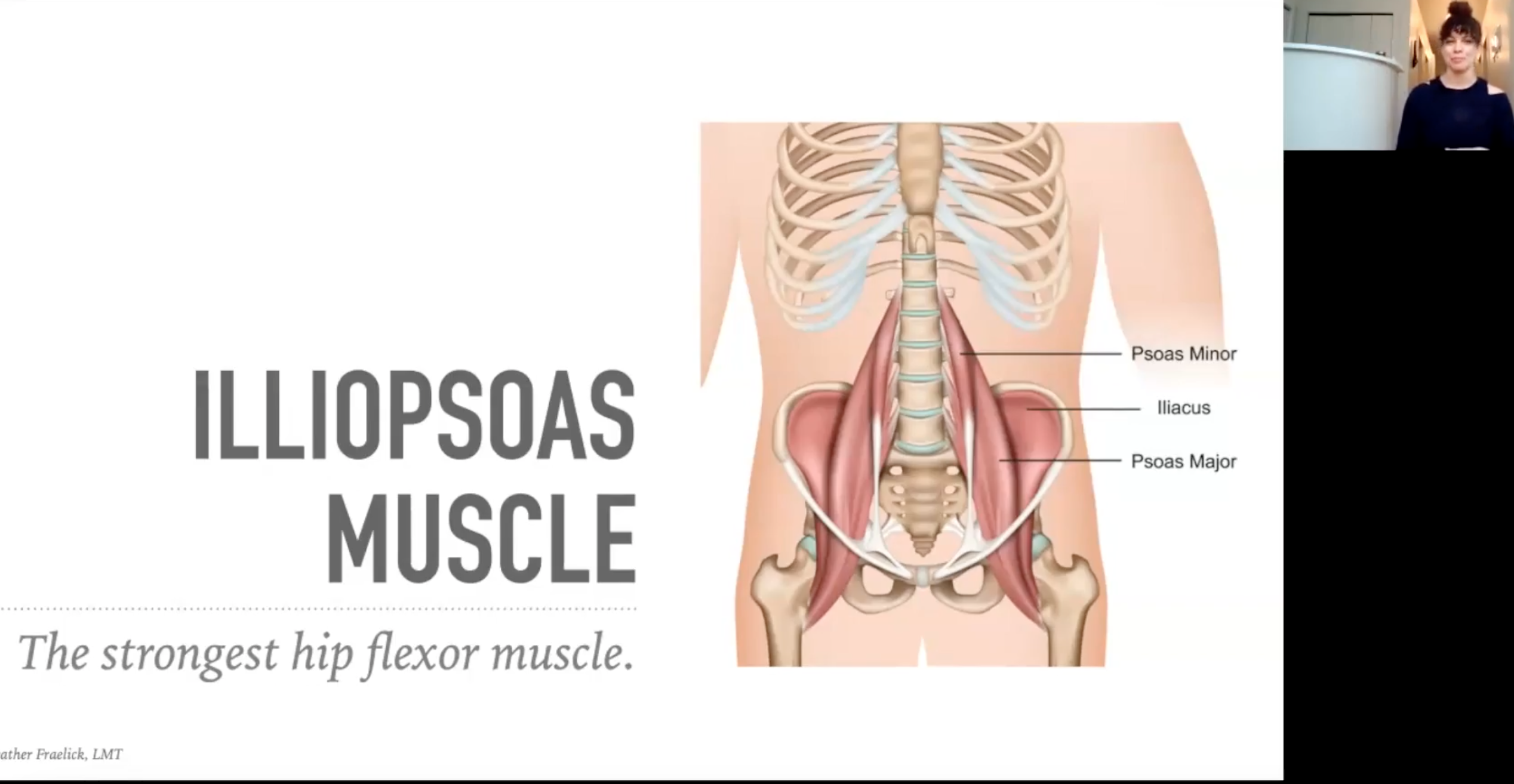 An iStockphoto in a Keynote of The Illiopsoas Muscle