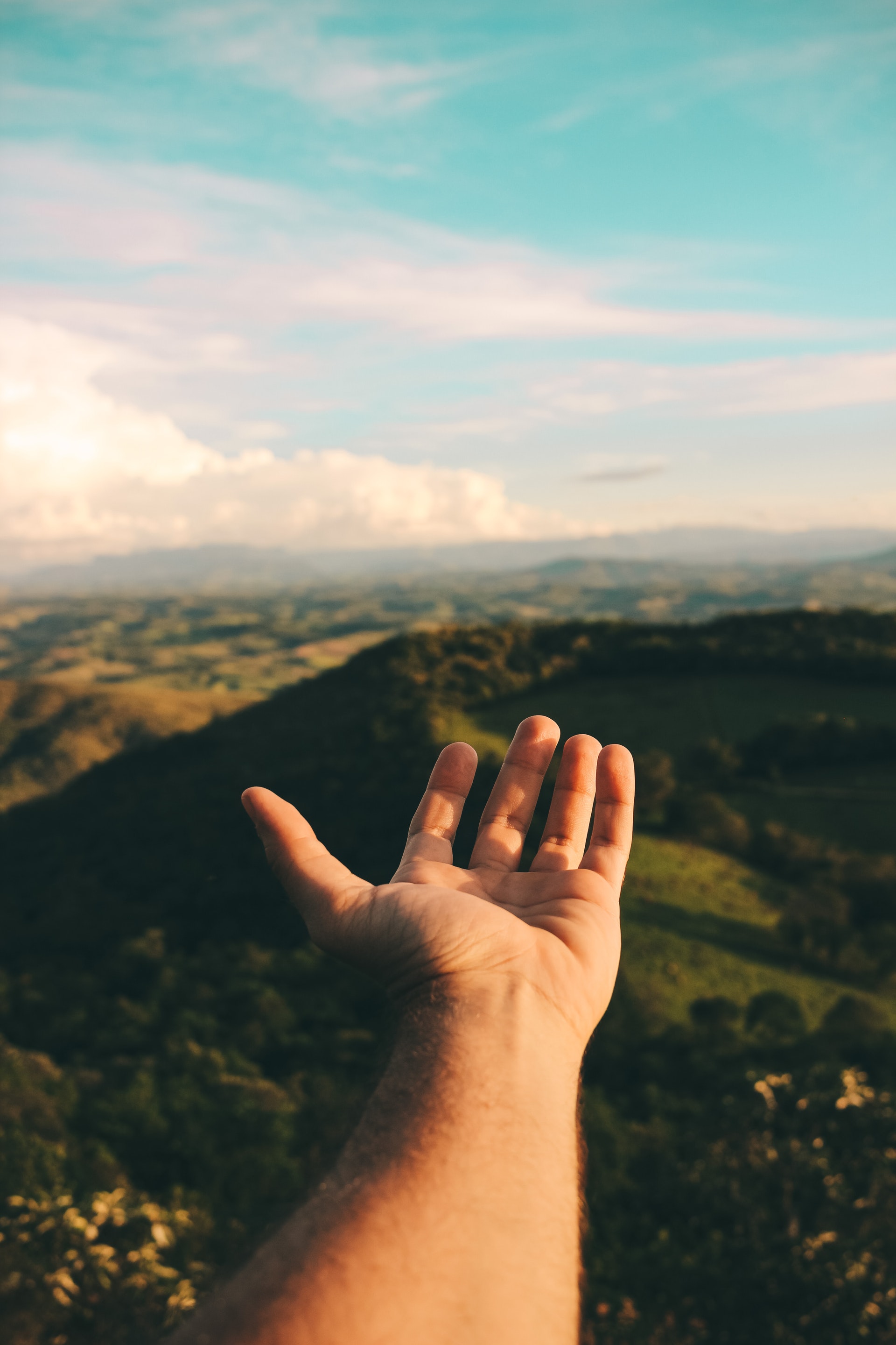 hand reaching to sky