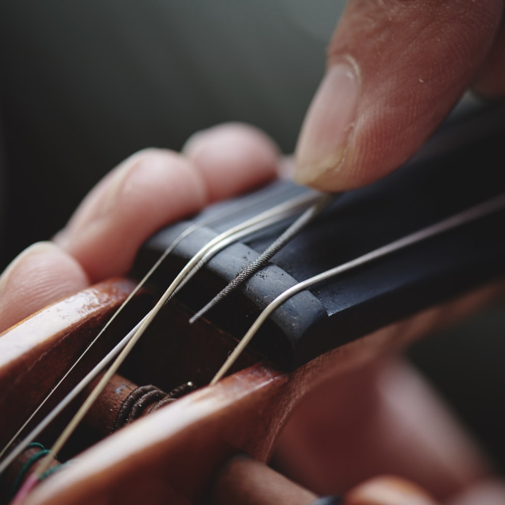 Edgar's Online Violinmaking Academy