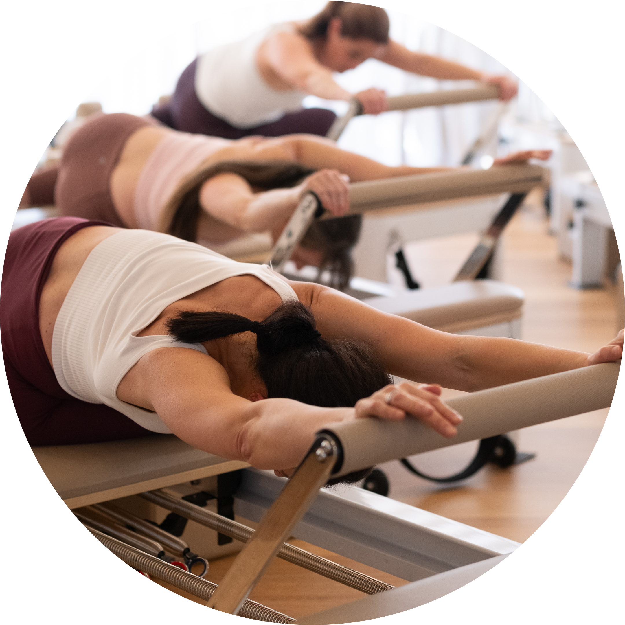 reformer pilates course online teacher training anatomy certificate certification training online face to face