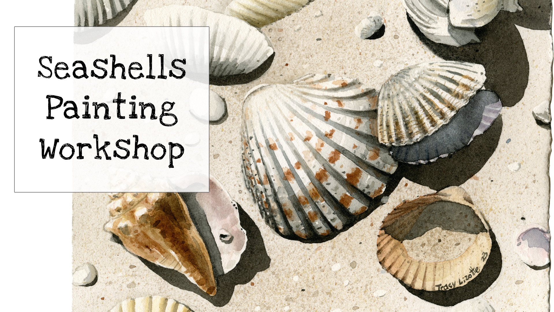 Learn to paint realistic seashells with watercolors