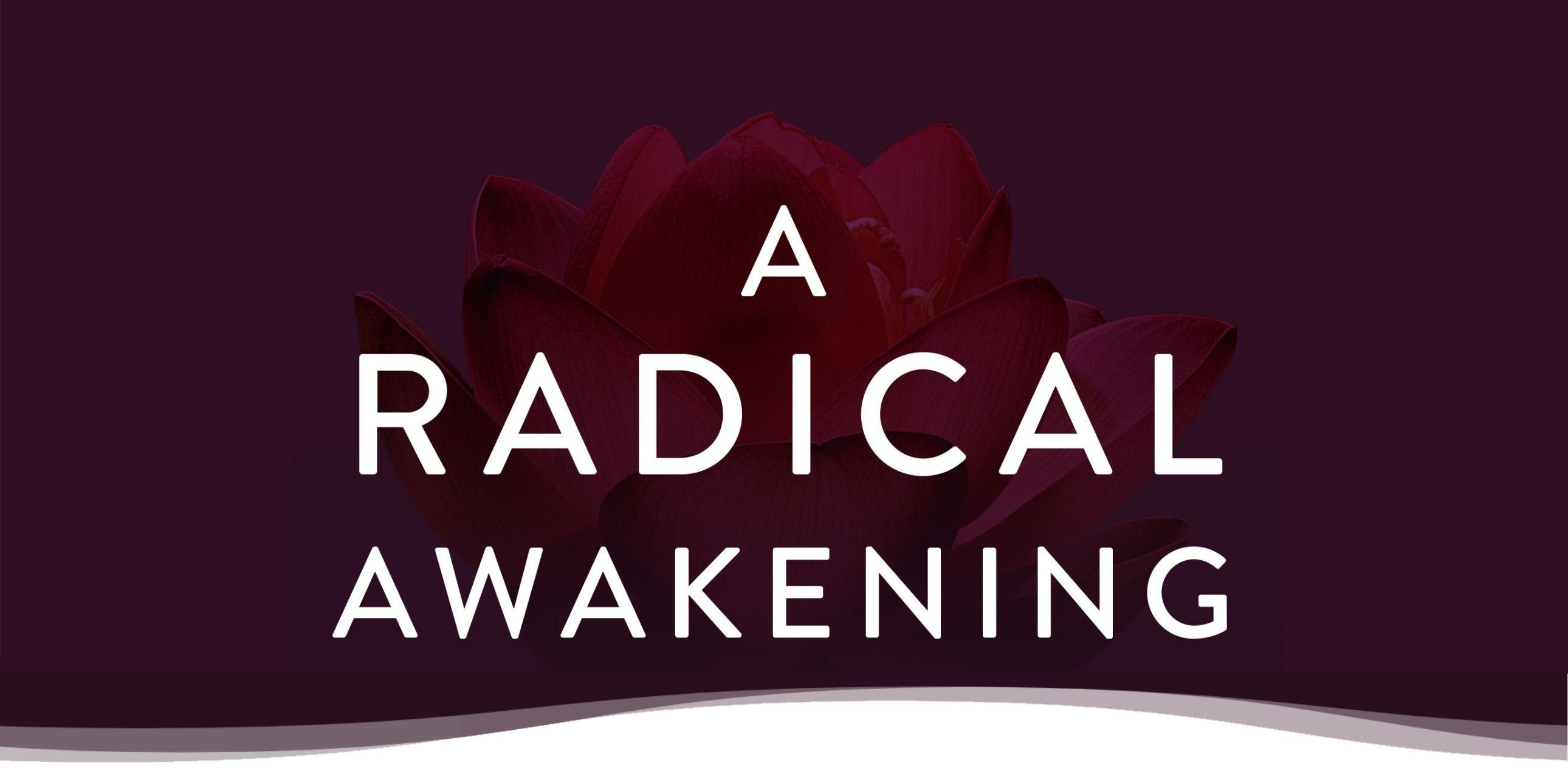 a radical awakening pdf free download