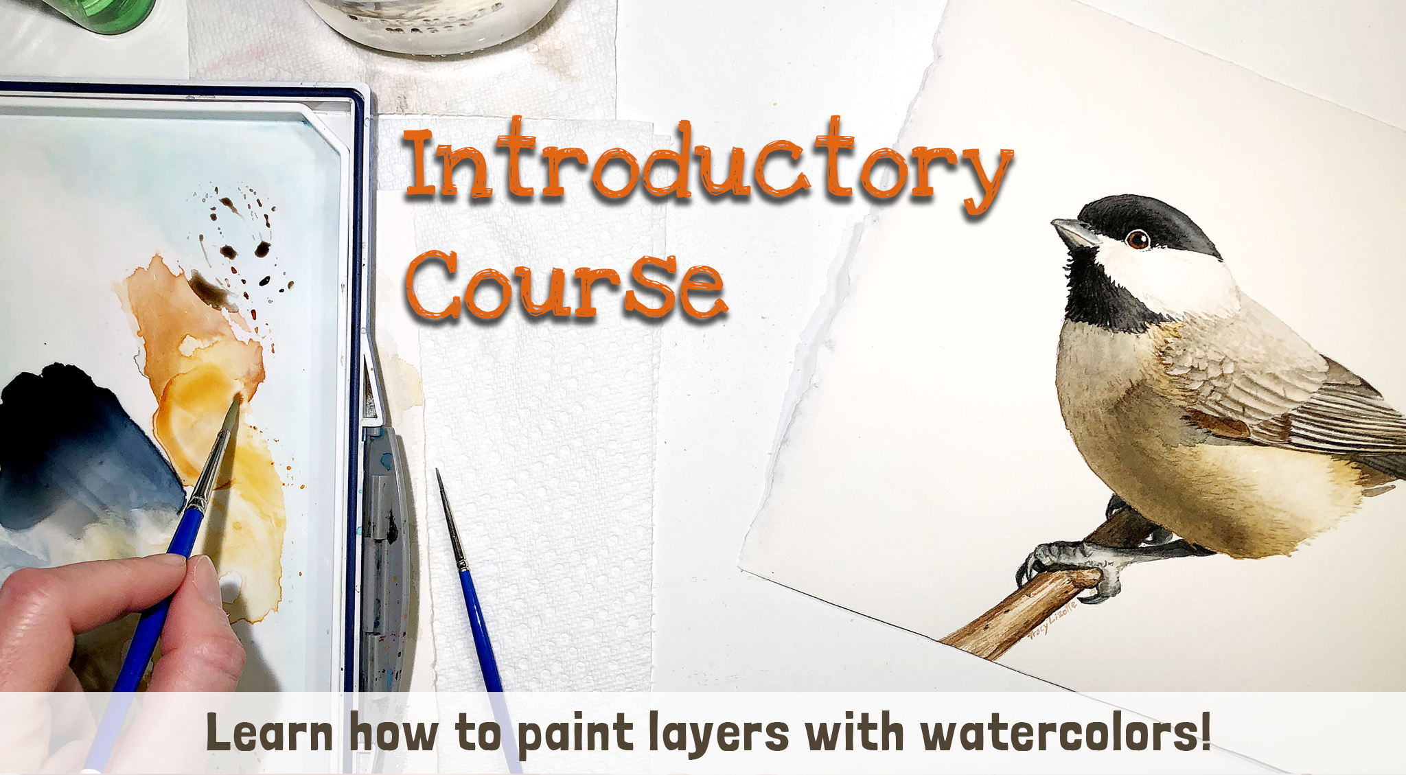Learn How to Paint a Chickadee