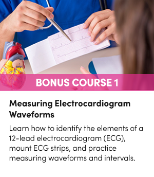 Bonus Course 1: Measuring Electrocardiogram Waveforms
