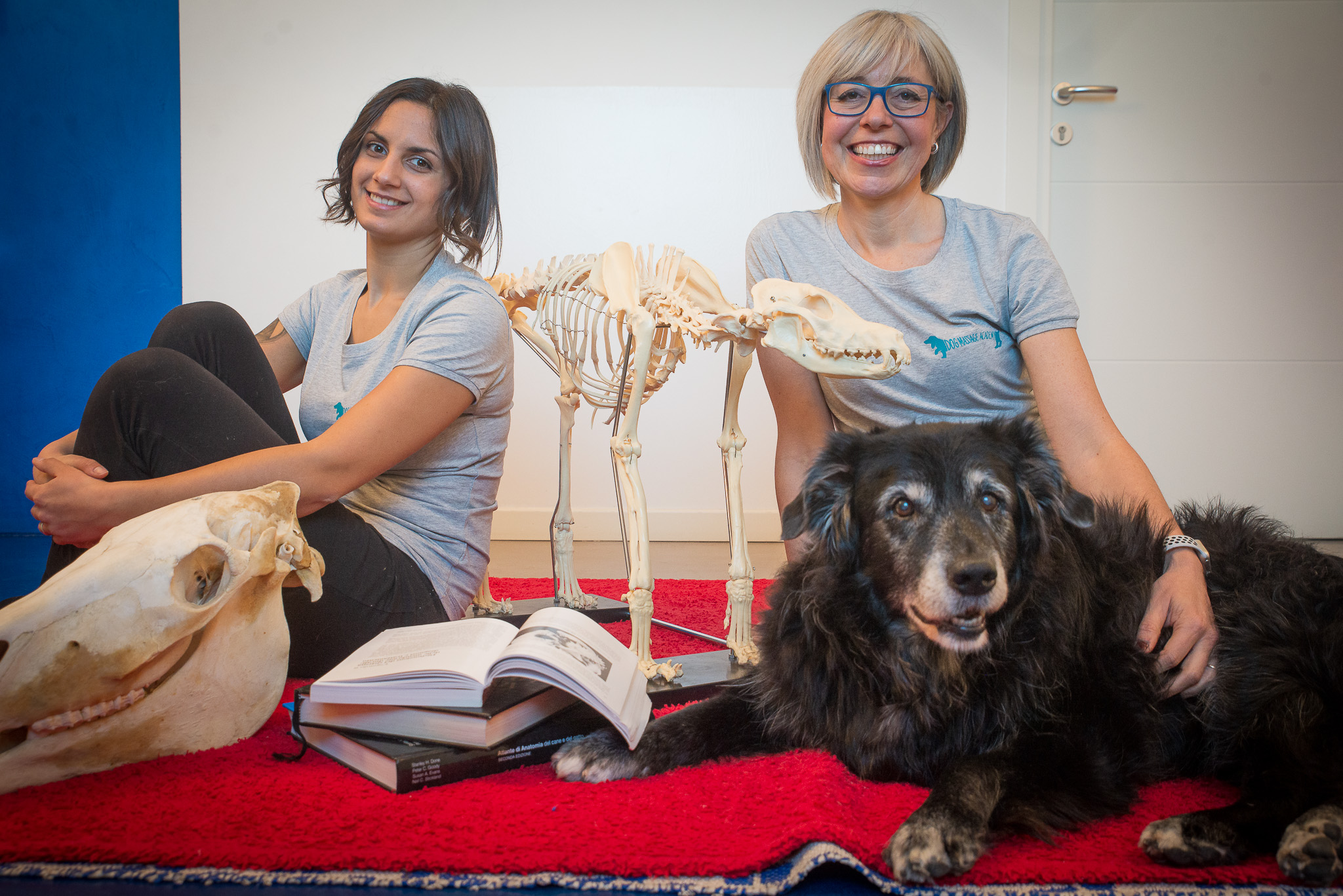 scuola di massaggi per cani