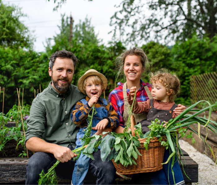 The No Fuss Vegetable Garden