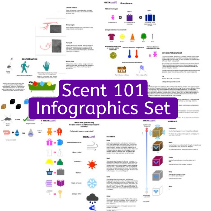 Scent 101 Infographics Set
