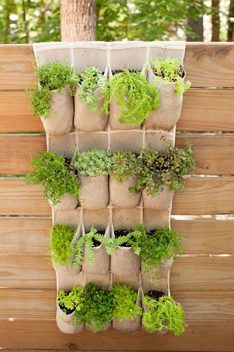 hanging organizer with plants