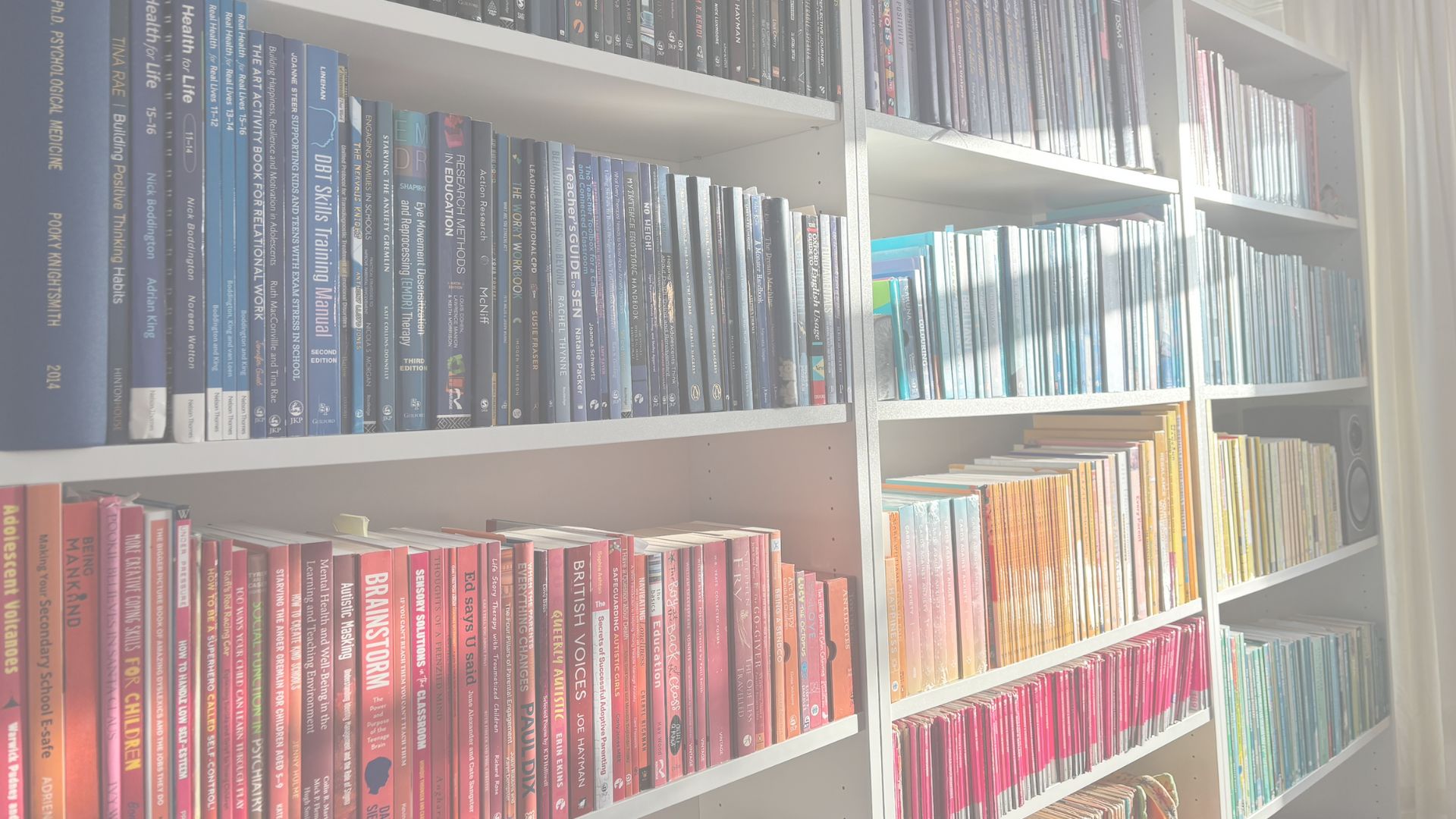 colour ordered books on the bookshelves in Pookys office