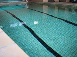 Petes Swim School