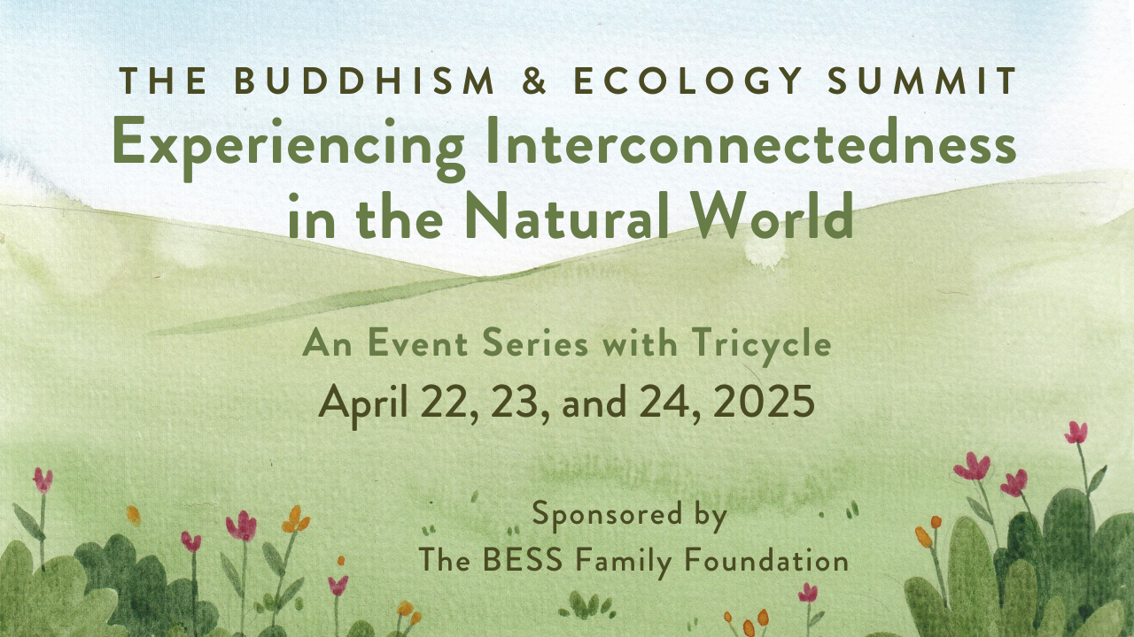 The Buddhism Ecology Summit: Experiencing Interconnectedness in the Natural World