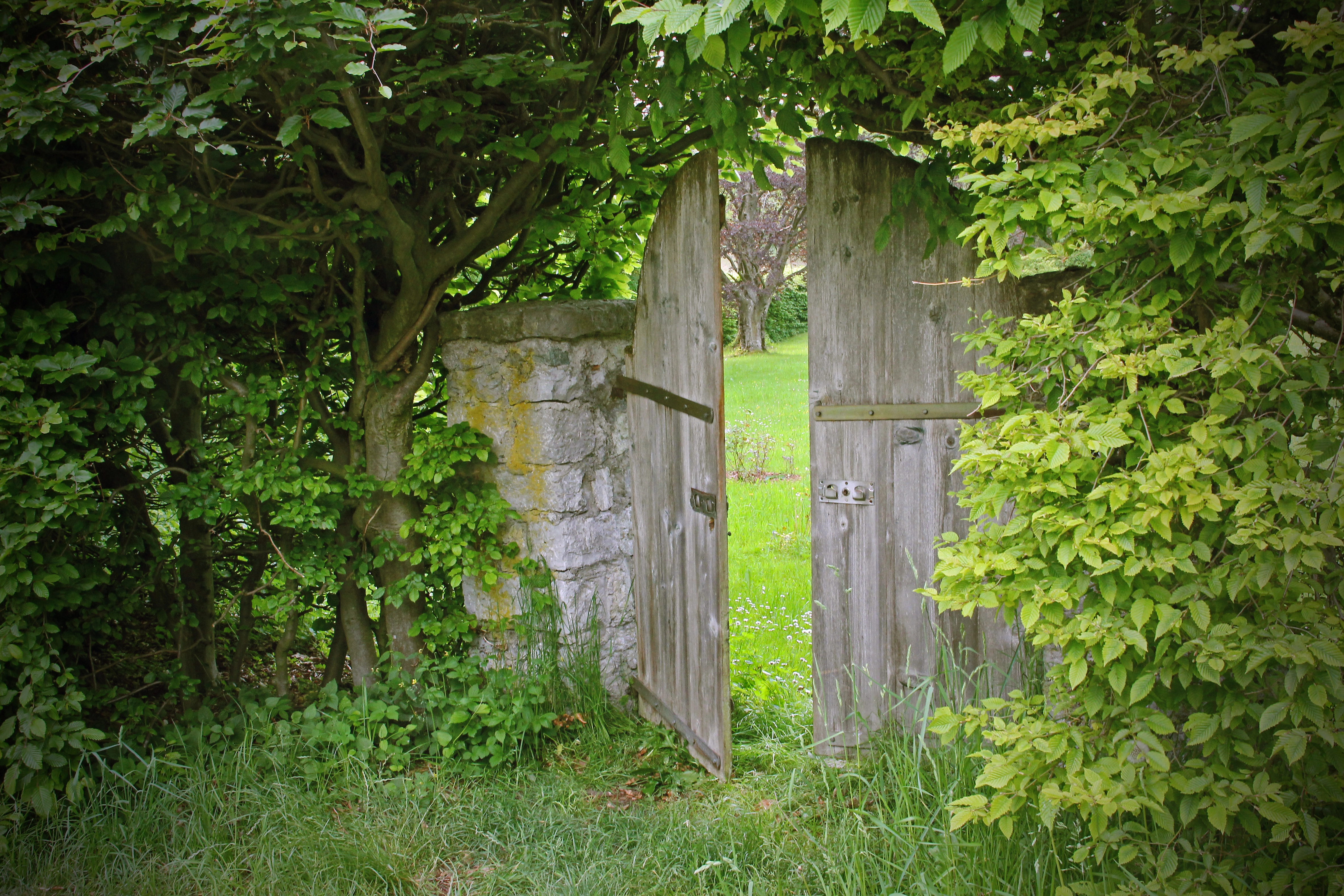 garden gate