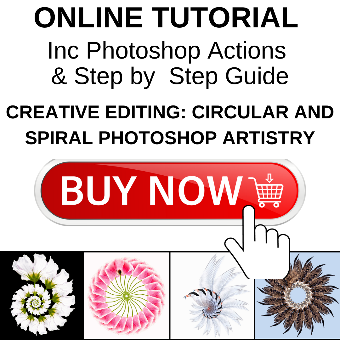 online class on photoshop pattern making