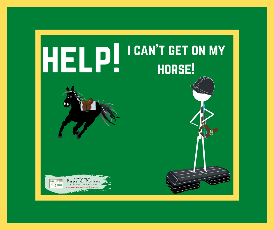 HELP! I CAN'T GET ON MY HORSE!