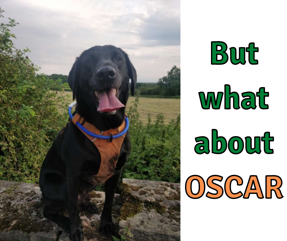 And this is Oscar