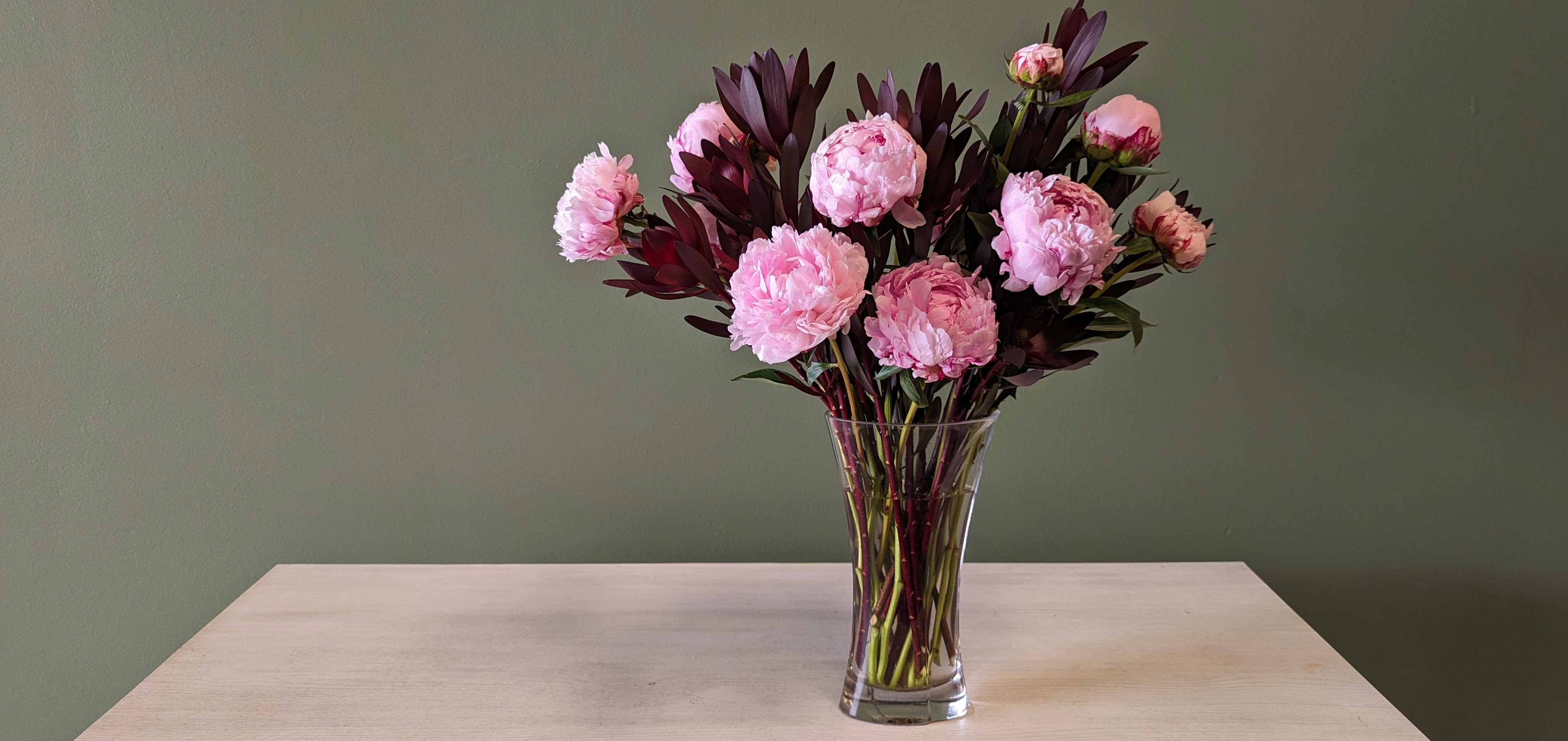 Peonies and Leucadendron