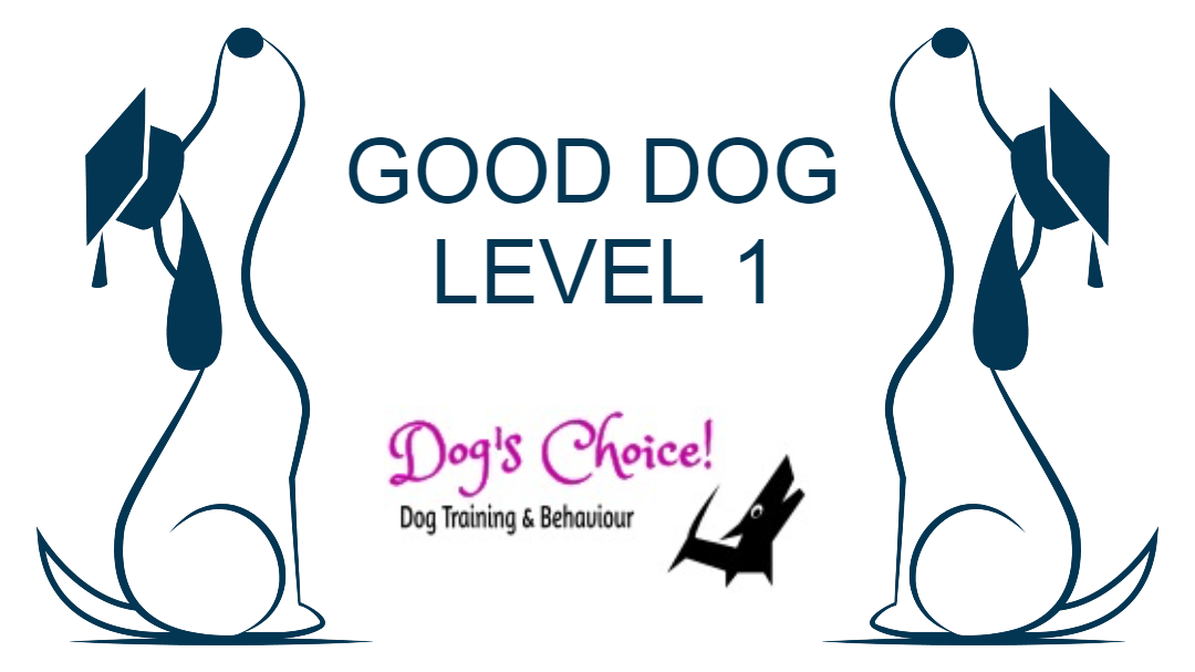 Good choice best sale dog training