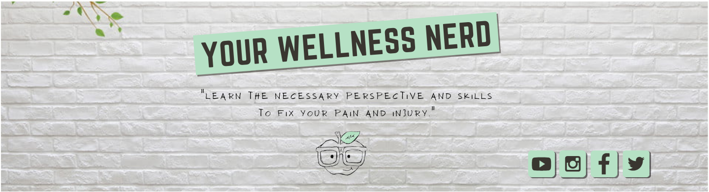your wellness nerd teachable banner
