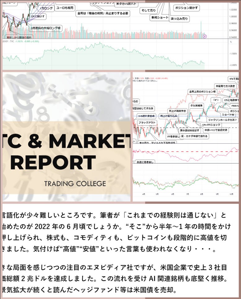 吉中レポート/インサイト