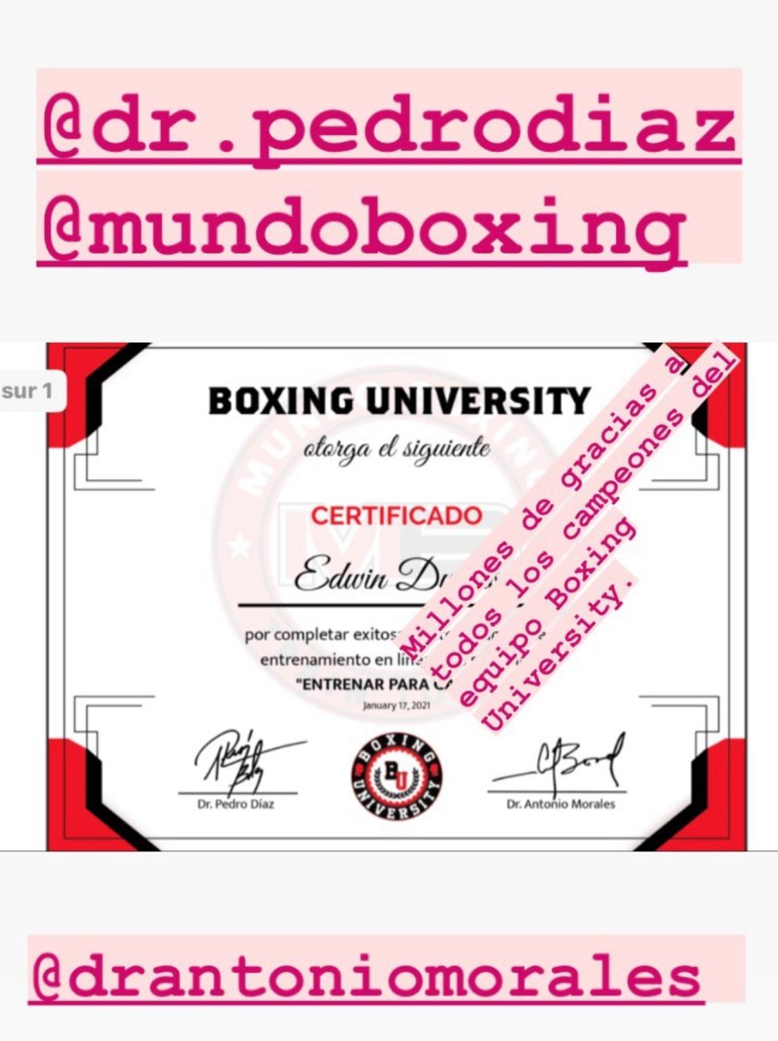 Curso de kick boxing para entrenadores [Gratis y Certificado]