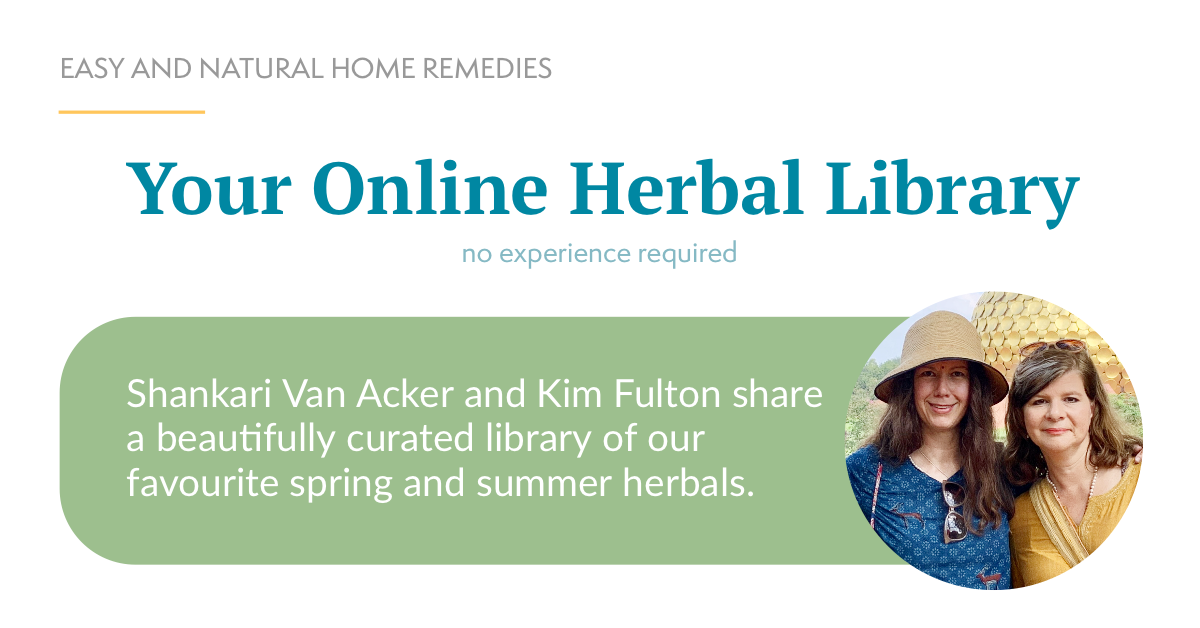 Shankari Van Acker and Kim Fulton Share Ayurvedic Herbal Classes