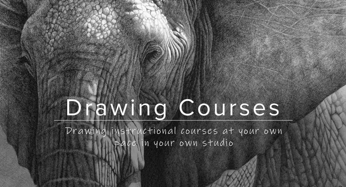 Instructional drawing courses offered from RL Caldwell Studio