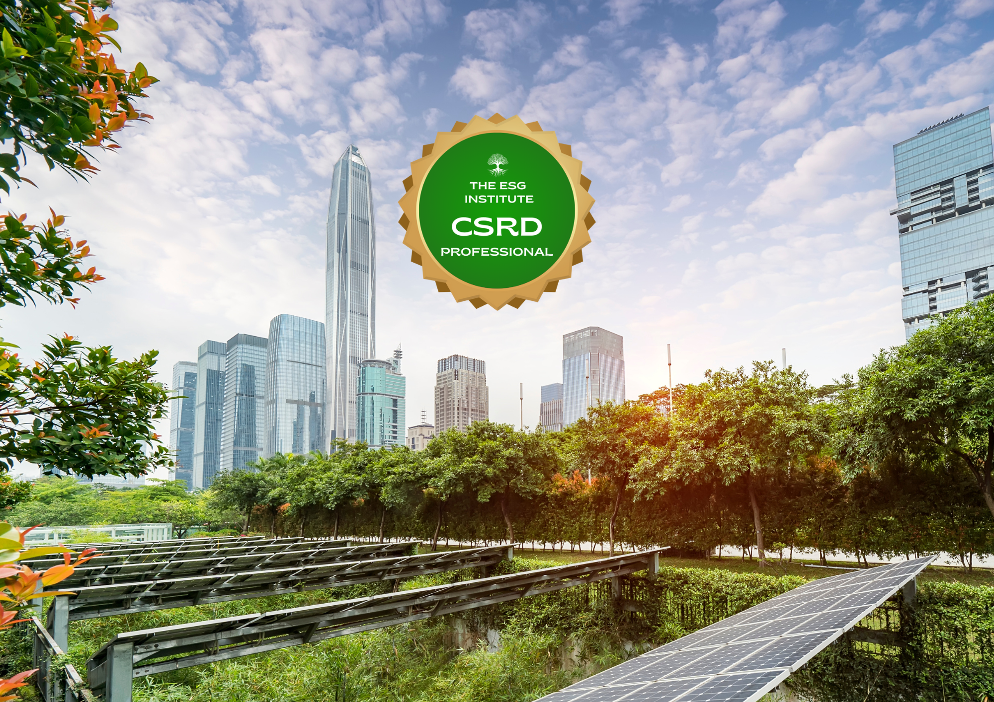 CSRD Professional Certificate