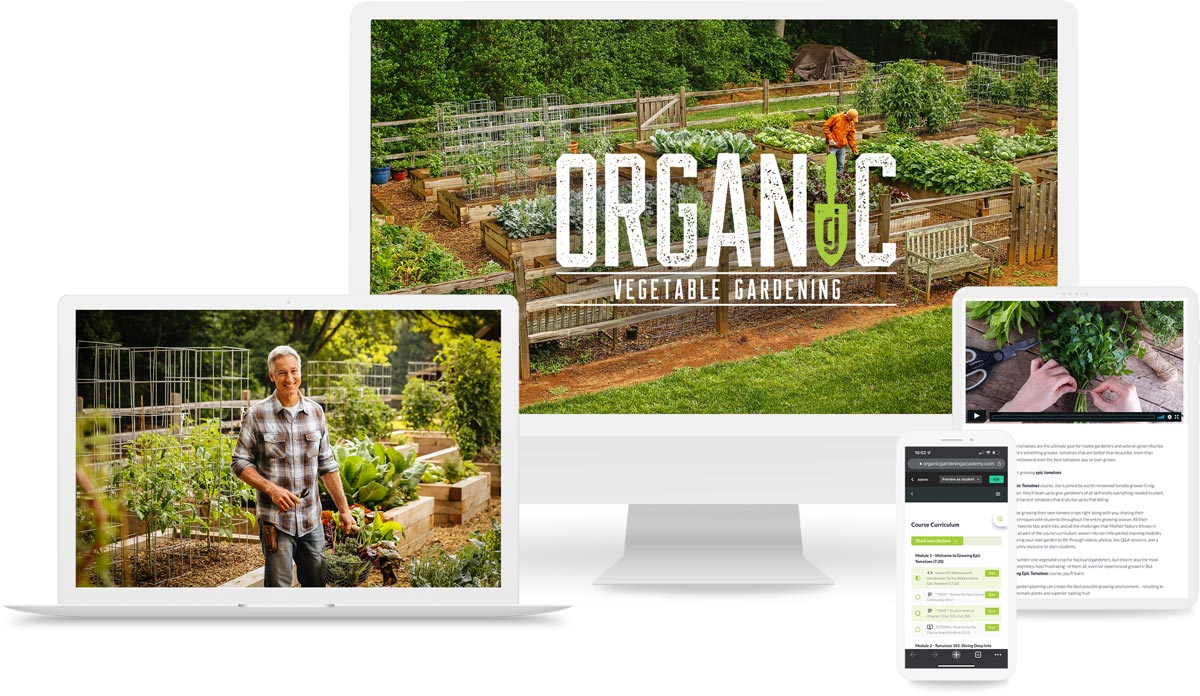 Organic Vegetable Gardening mockup