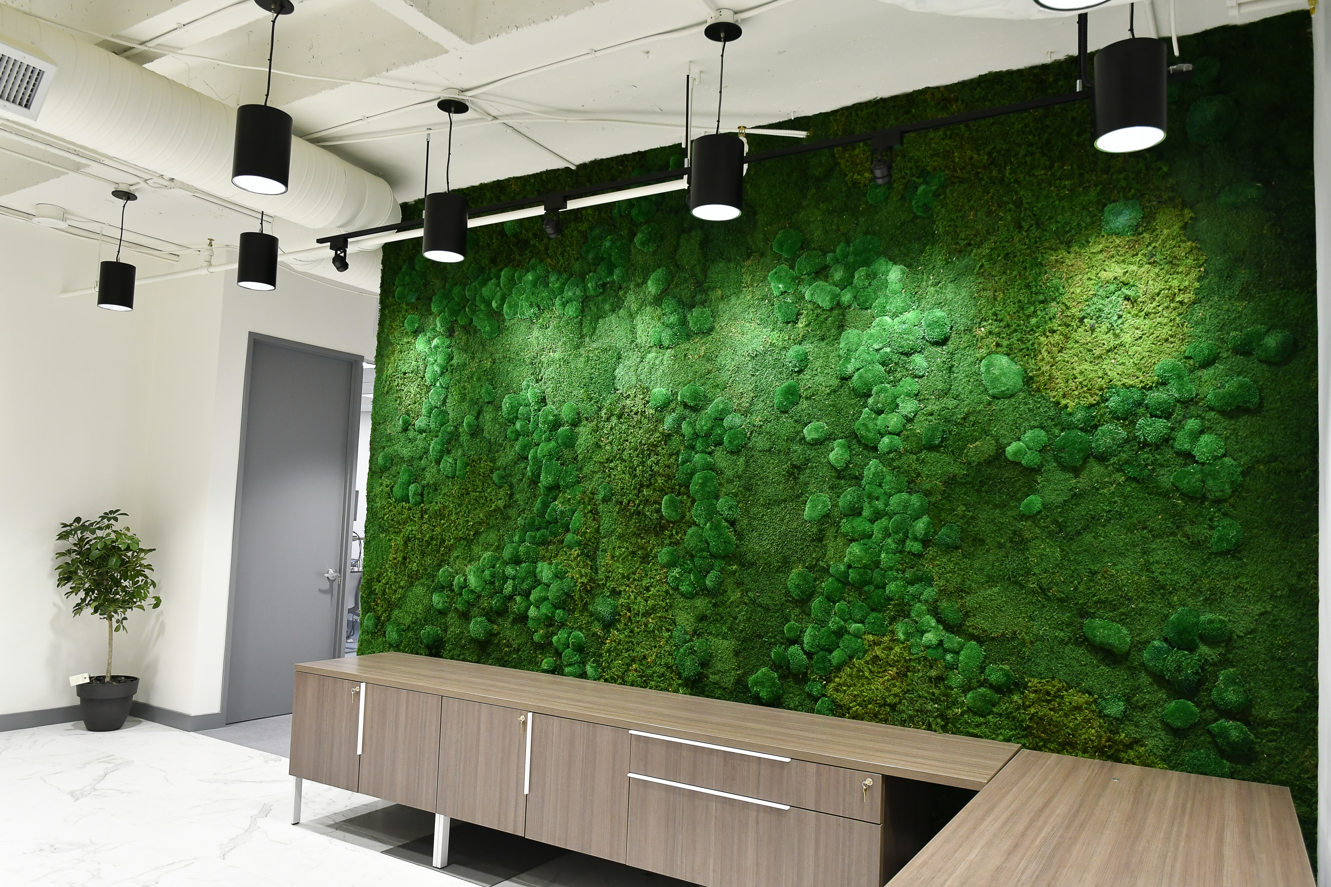 Moss Walls