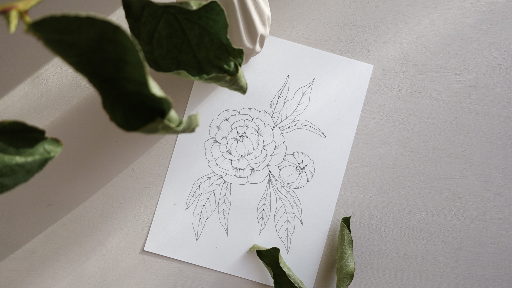 Bloom Creatives drawing course