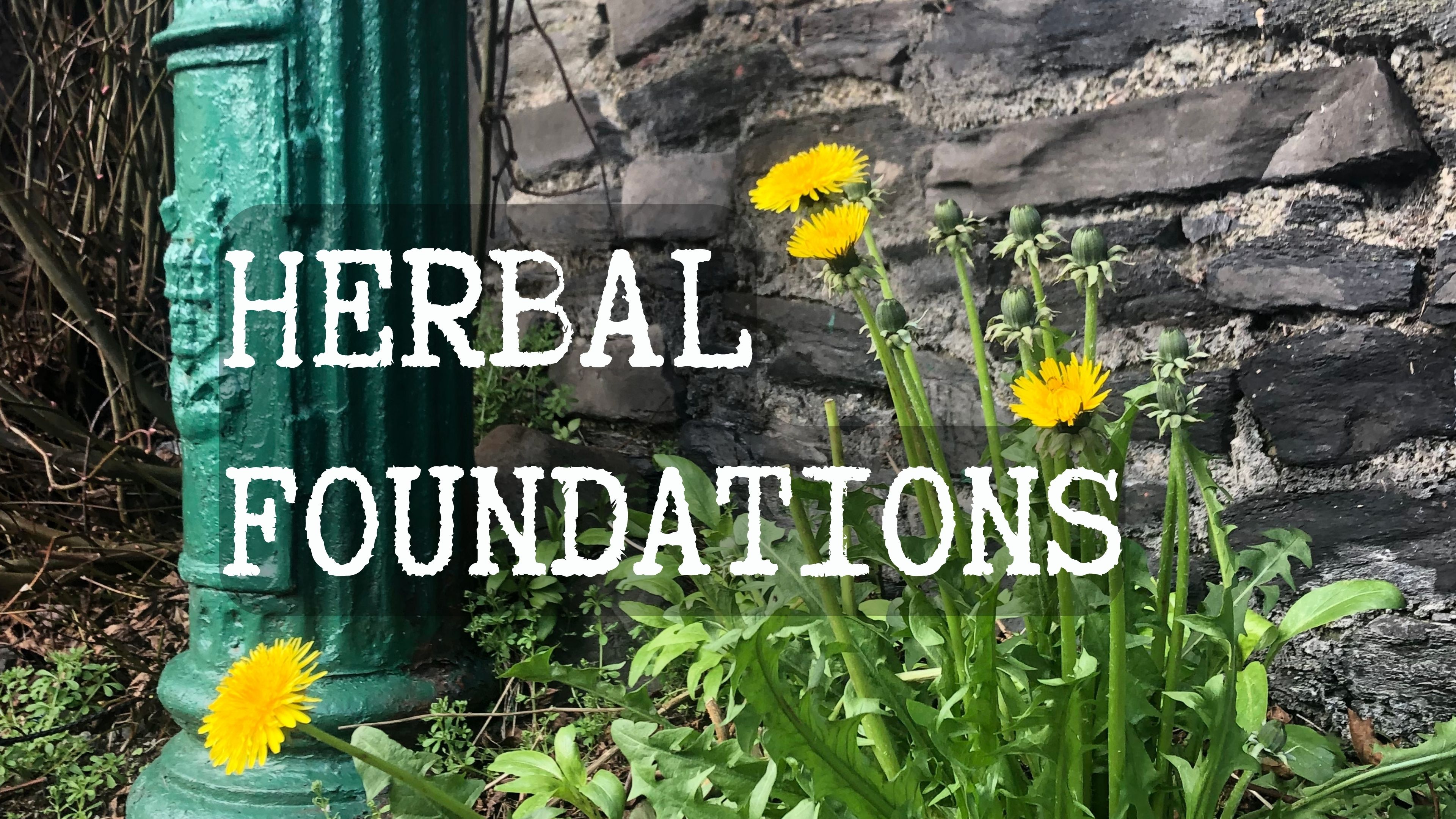 Herbal Foundations