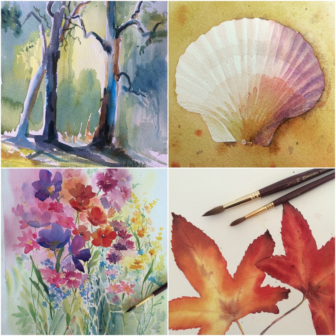 Watercolour painting collage - Learn to paint in watercolour with Jenny Gilchrist and Northern Beaches Watercolour.