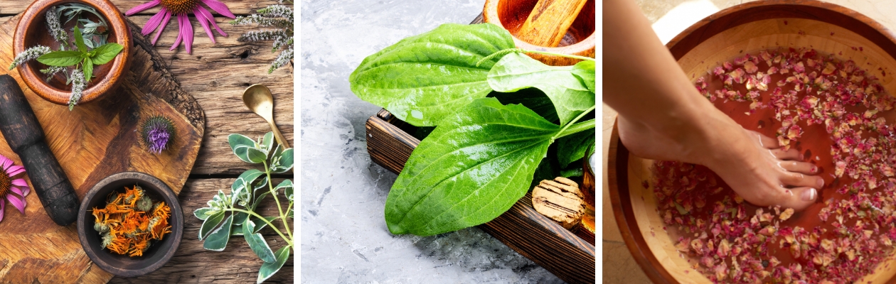 collage of three remedies including herbs in mortar and pestle, plantain leaves, and a foot bath