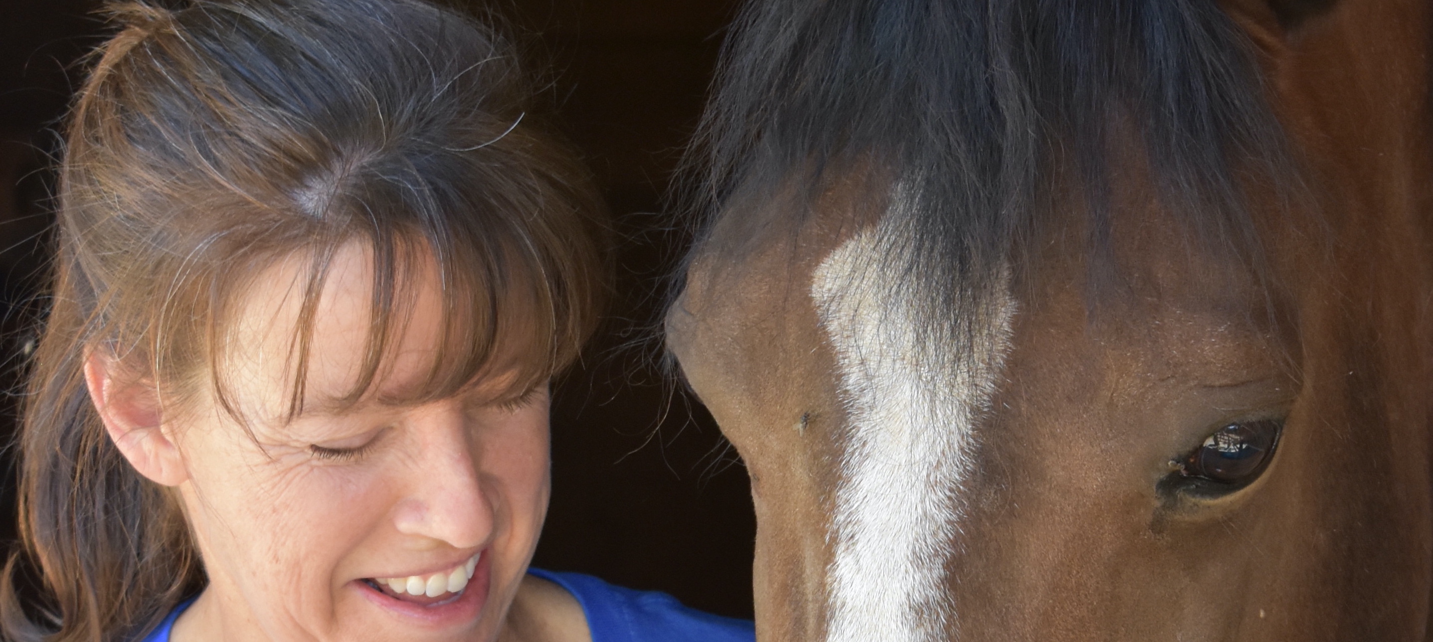 Bridles and Breath