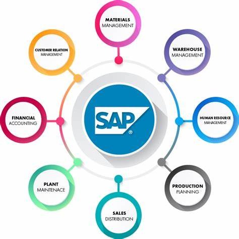 SAP IBP Trainer