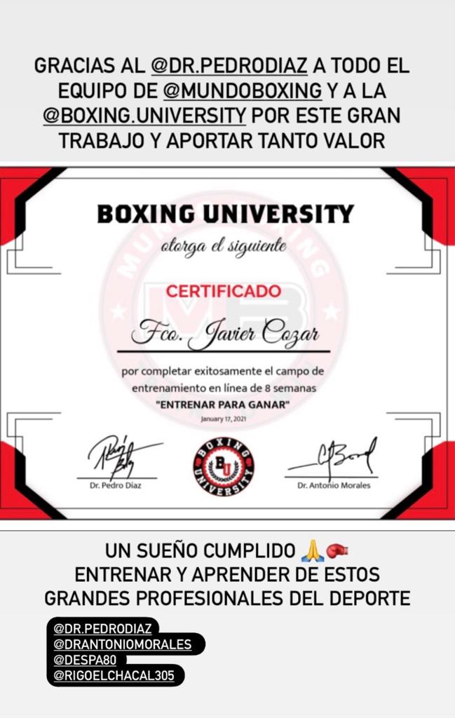 Curso de kick boxing para entrenadores [Gratis y Certificado]