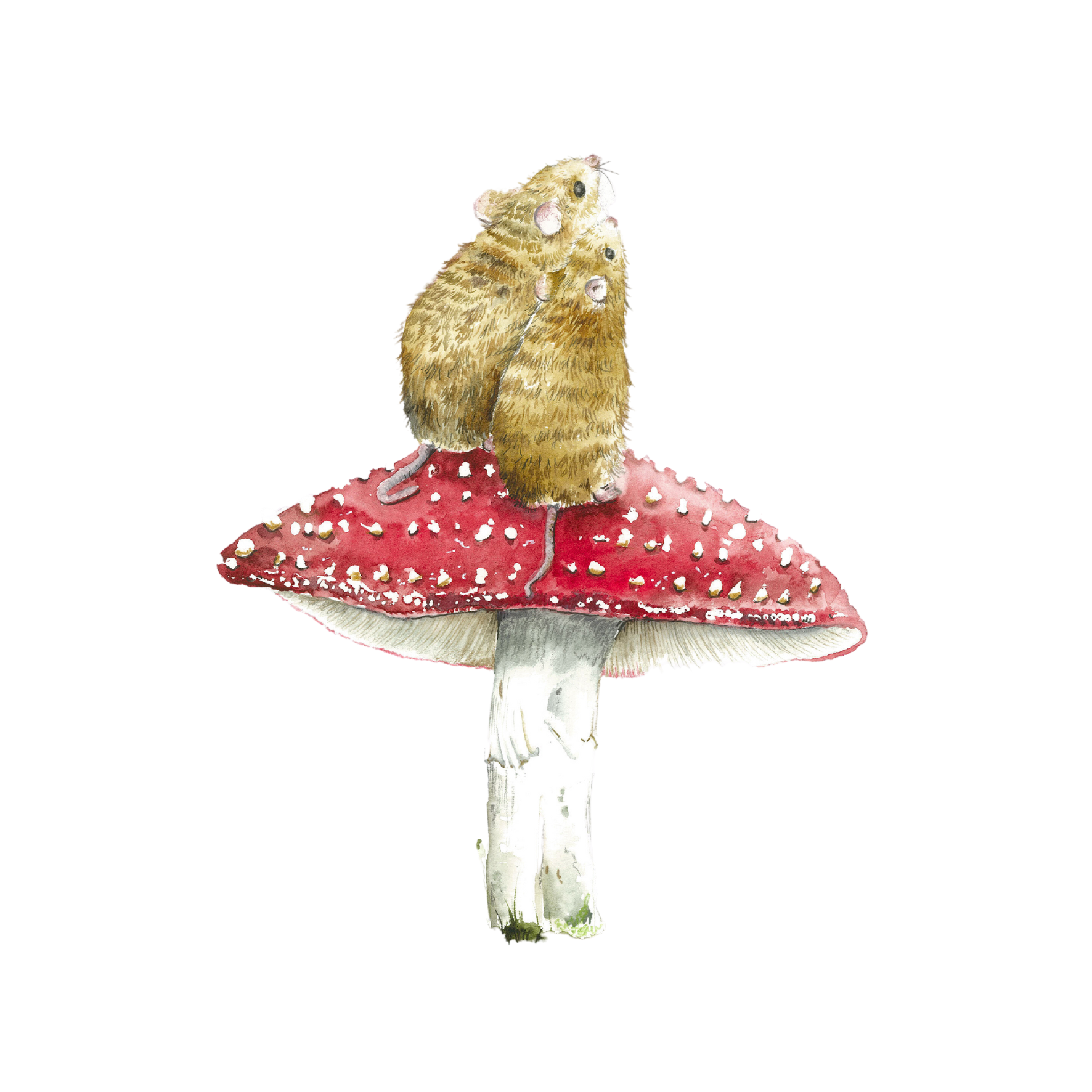 moon wishes mice on a toadstool