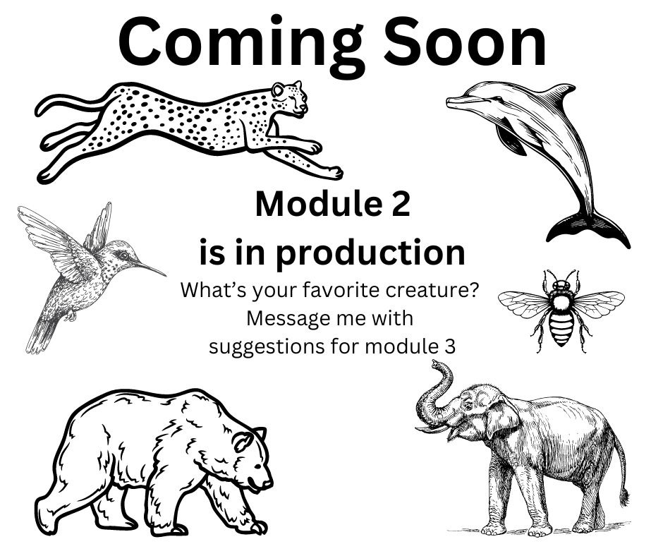 Module 2 coming Soon - Spring 2024