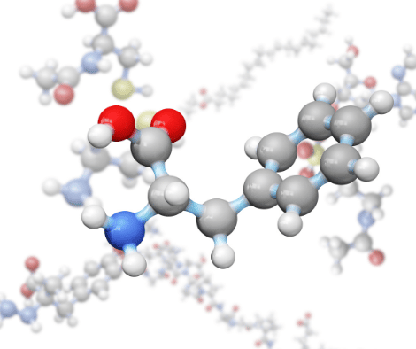 Kinds of Amino Acids for dairy nutrition