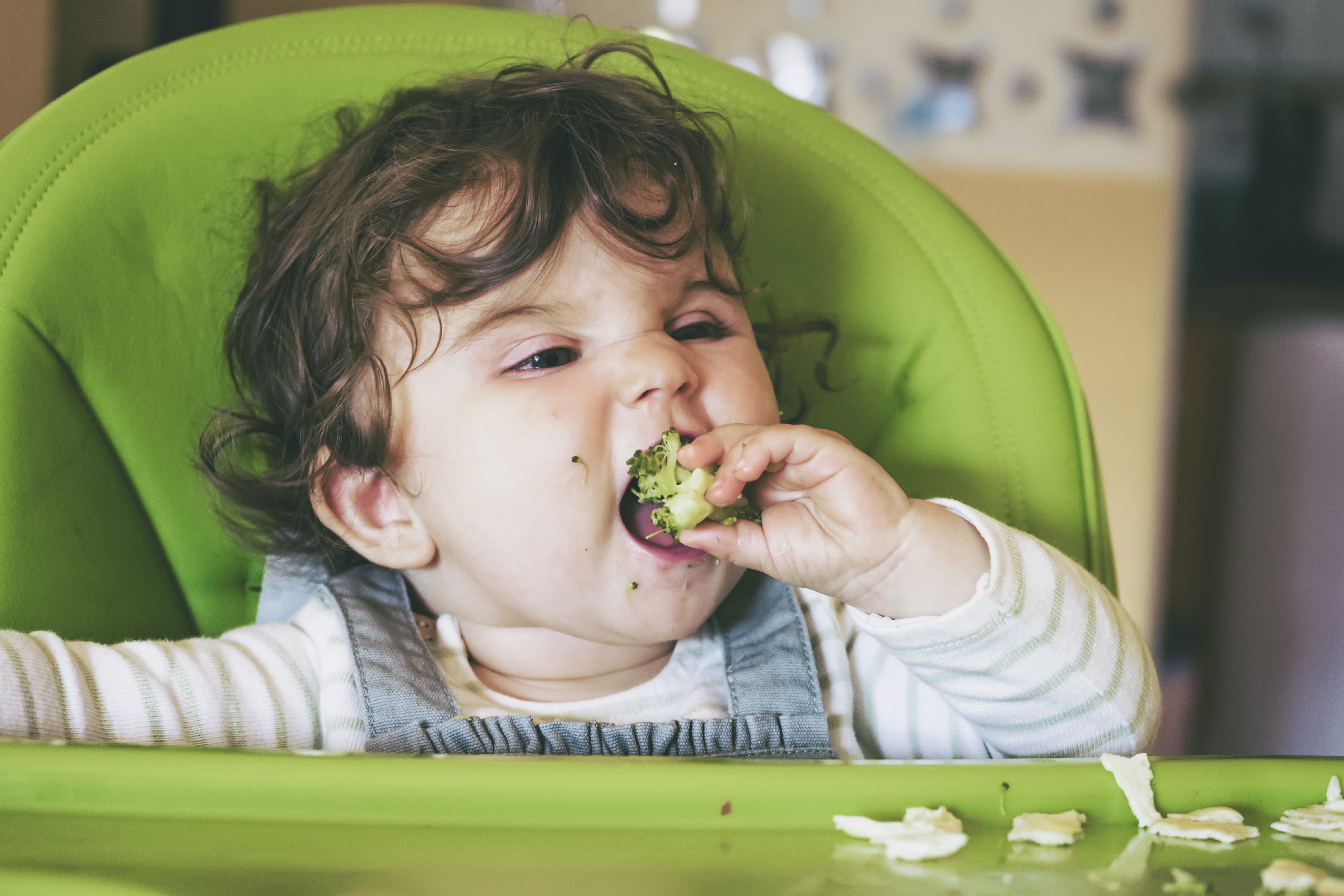 BABY LED WEANING VS PAPILLLAS