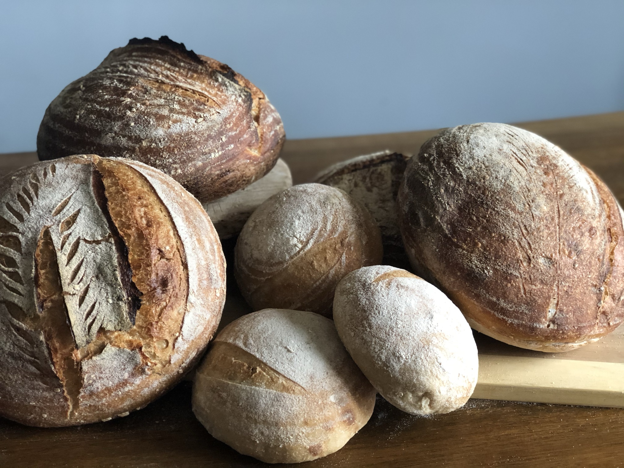 sourdough madre traditional loaves