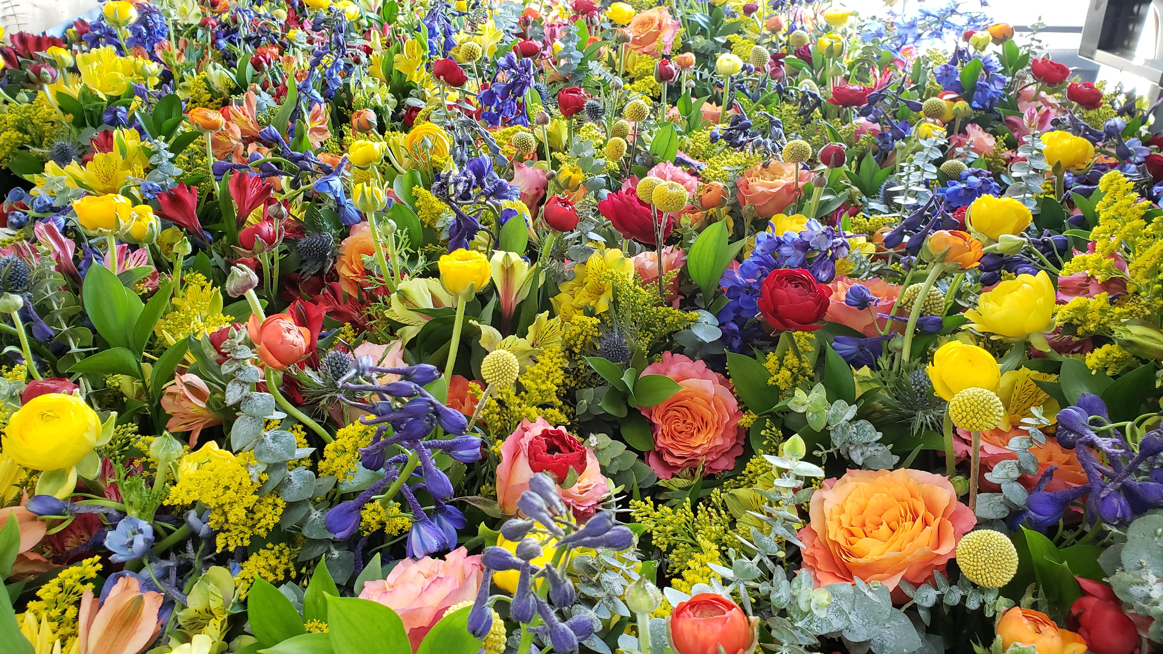 Field of Flowers Banner