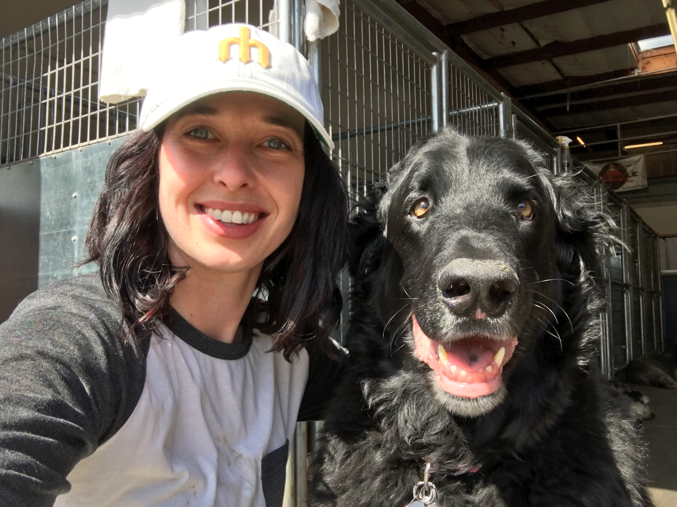 Cathy and Bubba the Black Russian Terrier