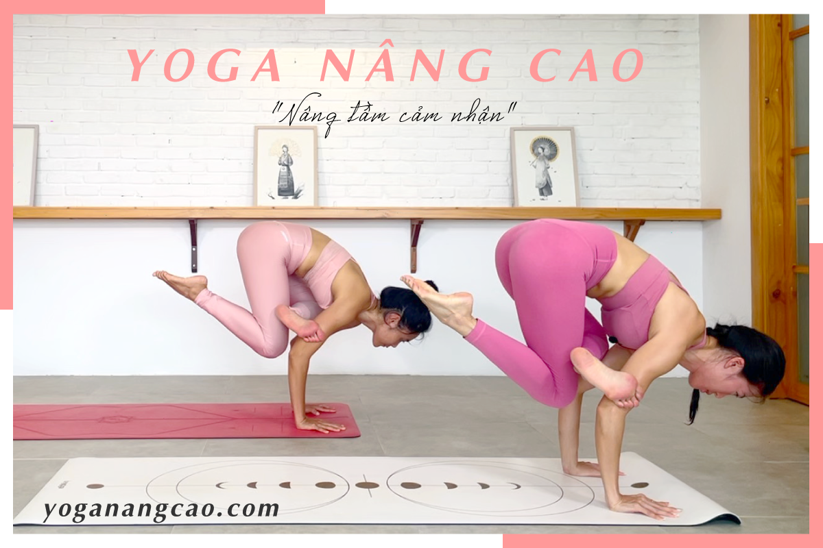 Yoga Nâng Cao online - Nâng tầm cảm nhận!