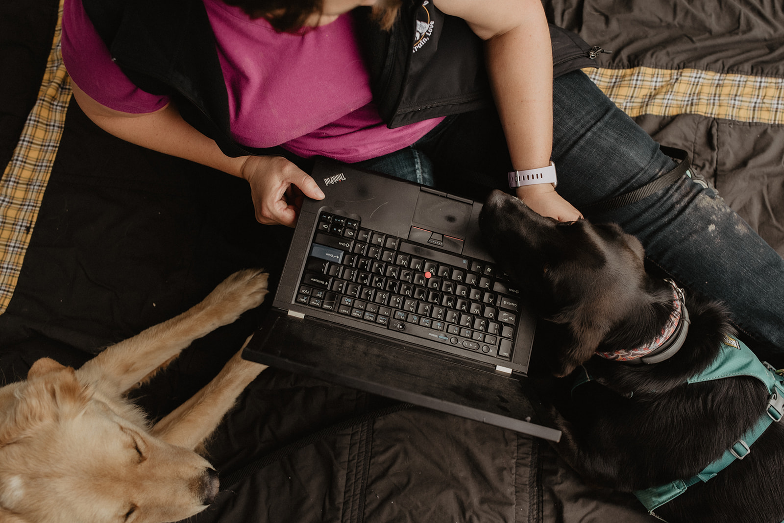 A compute is held by a woman, while a dog rests his chin on it